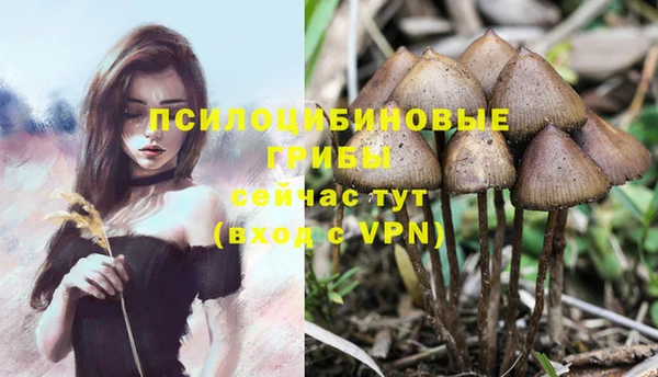 первитин Вязники