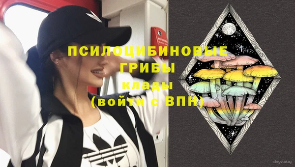 кокаин Вяземский
