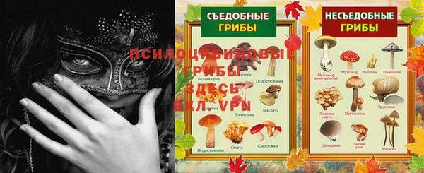 a pvp Вязьма