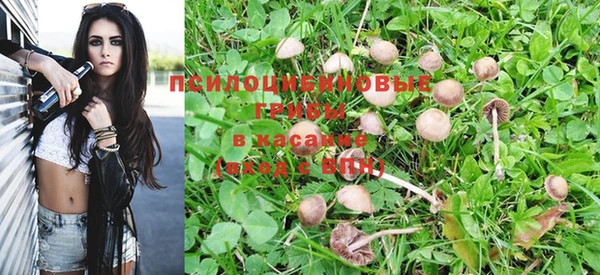 кокаин Вяземский