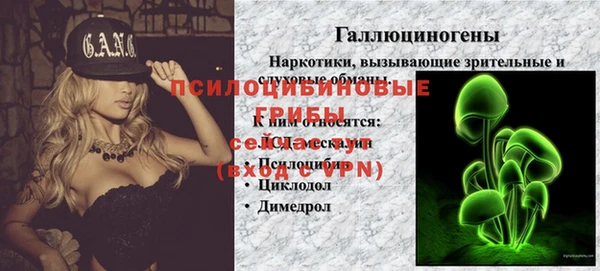 эйфоретик Лабытнанги