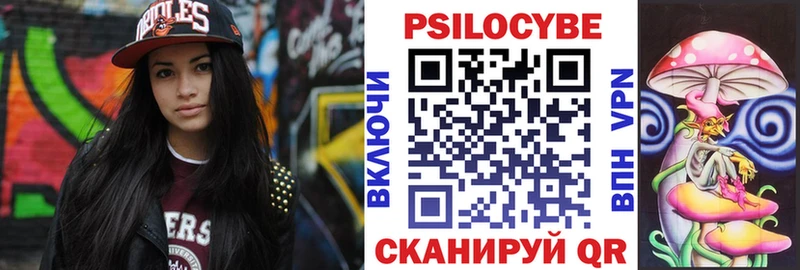 Галлюциногенные грибы мицелий  OMG сайт  Кинель 